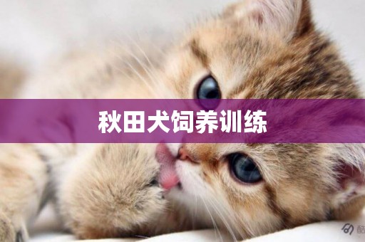 秋田犬飼養訓練