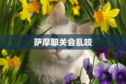 薩摩耶關會亂咬