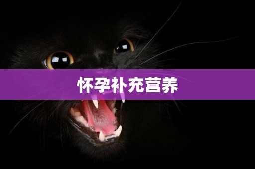 懷孕補充營養