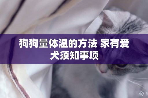 狗狗量體溫的方法 家有愛犬須知事項