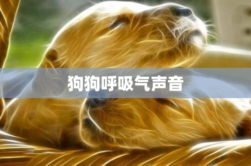狗狗呼吸氣聲音