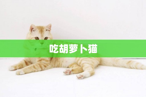 吃胡蘿卜貓