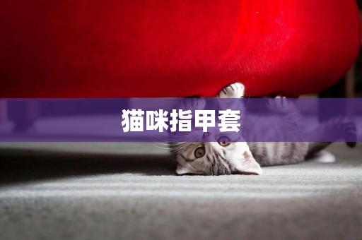 貓咪指甲套