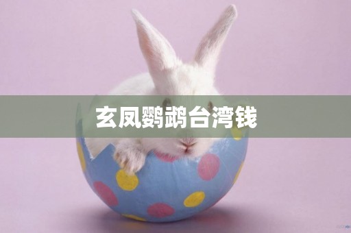 玄鳳鸚鵡臺灣錢