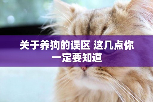 關于養狗的誤區 這幾點你一定要知道