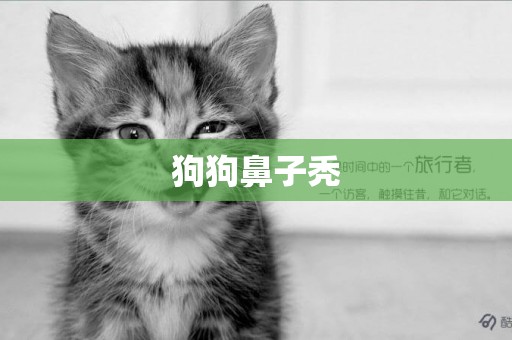 狗狗鼻子禿