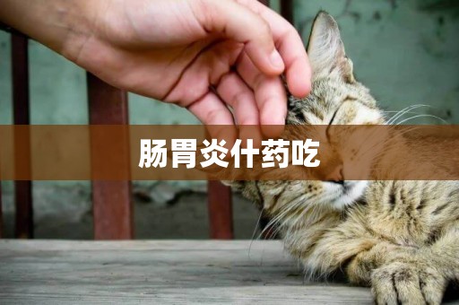 腸胃炎什藥吃