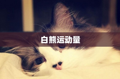 白熊運動量