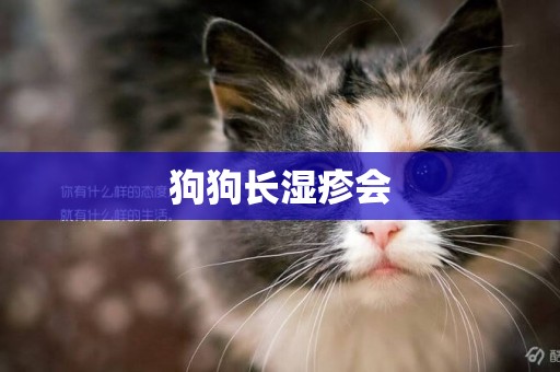 狗狗長濕疹會