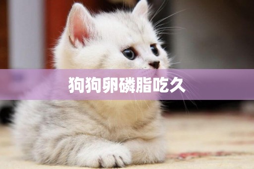 狗狗卵磷脂吃久