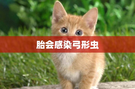 胎會感染弓形蟲
