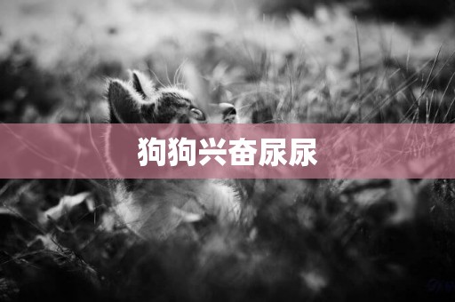 狗狗興奮尿尿