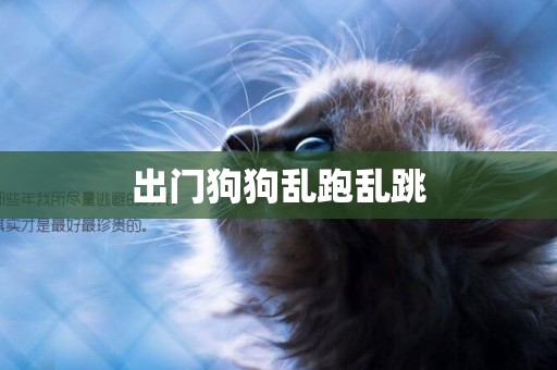 出門狗狗亂跑亂跳