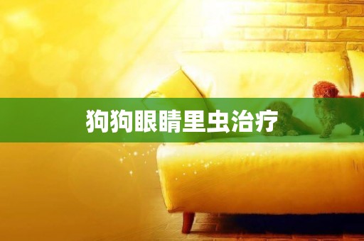 狗狗眼睛里蟲治療