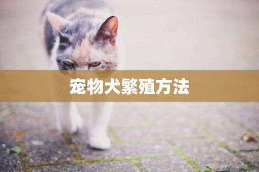 寵物犬繁殖方法
