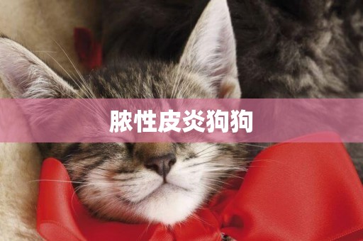 膿性皮炎狗狗