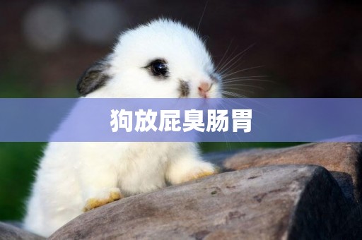 狗放屁臭腸胃