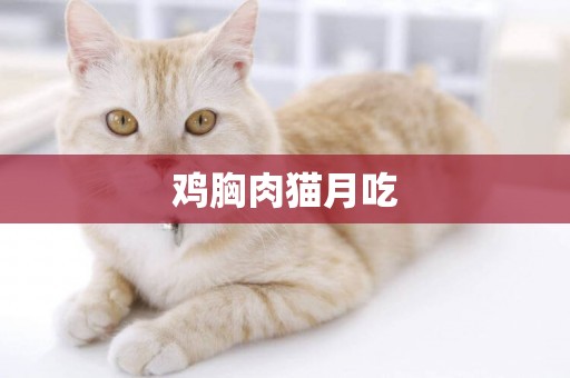 雞胸肉貓月吃