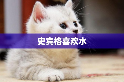 史賓格喜歡水