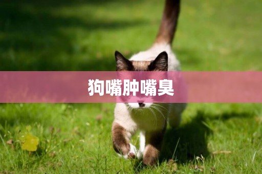 狗嘴腫嘴臭