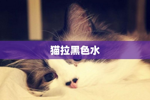 貓拉黑色水