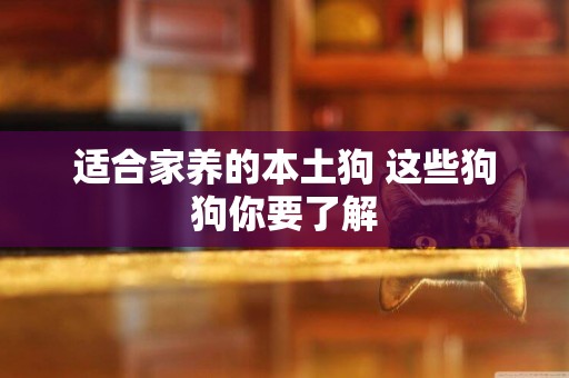 適合家養的本土狗 這些狗狗你要了解