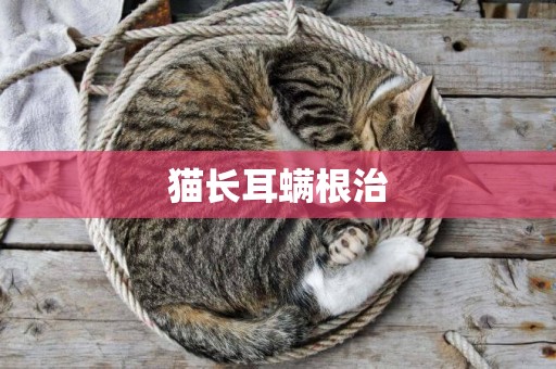 貓長耳螨根治