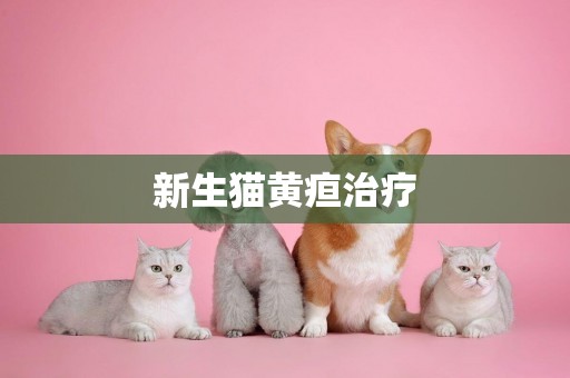 新生貓黃疸治療