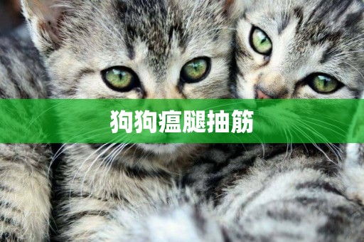 狗狗瘟腿抽筋
