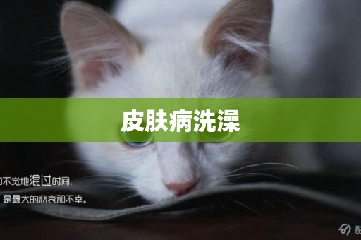 皮膚病洗澡