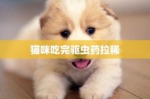 貓咪吃完驅蟲藥拉稀