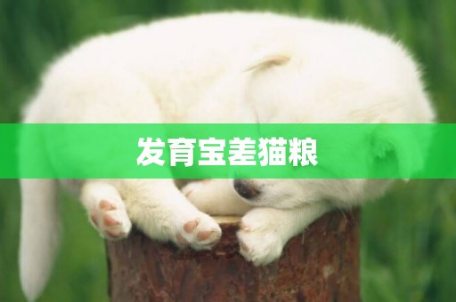 發育寶差貓糧