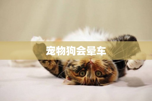 寵物狗會暈車