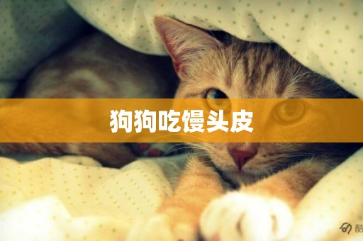 狗狗吃饅頭皮