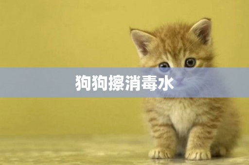 狗狗擦消毒水