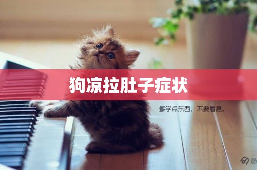 狗涼拉肚子癥狀