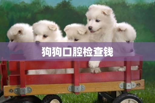 狗狗口腔檢查錢