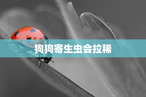 狗狗寄生蟲會拉稀