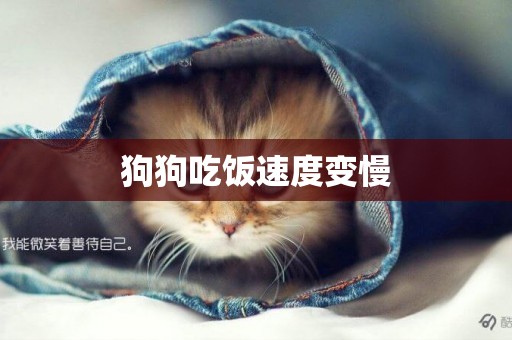 狗狗吃飯速度變慢