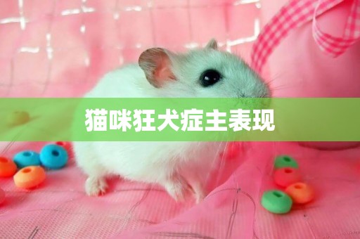 貓咪狂犬癥主表現