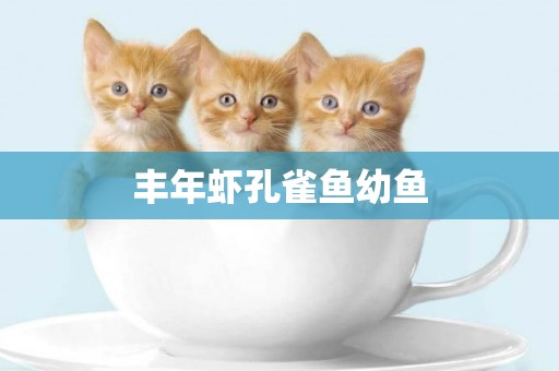豐年蝦孔雀魚幼魚