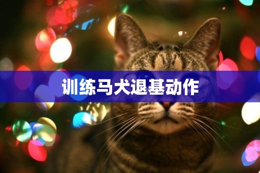 訓練馬犬退基動作