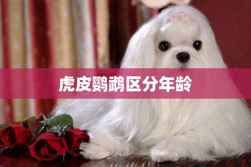 虎皮鸚鵡區分年齡