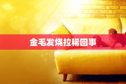 金毛發燒拉稀回事