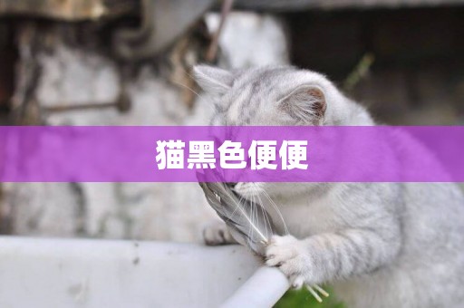 貓黑色便便