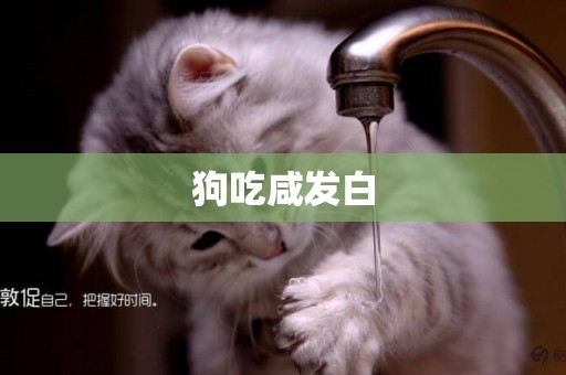 狗吃咸發白