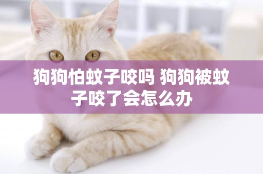 狗狗怕蚊子咬嗎 狗狗被蚊子咬了會怎么辦