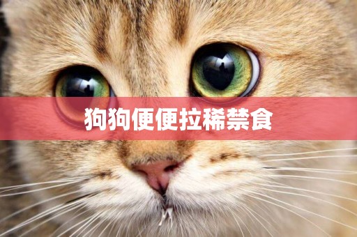 狗狗便便拉稀禁食