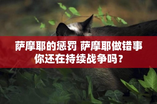 薩摩耶的懲罰 薩摩耶做錯事你還在持續戰爭嗎？