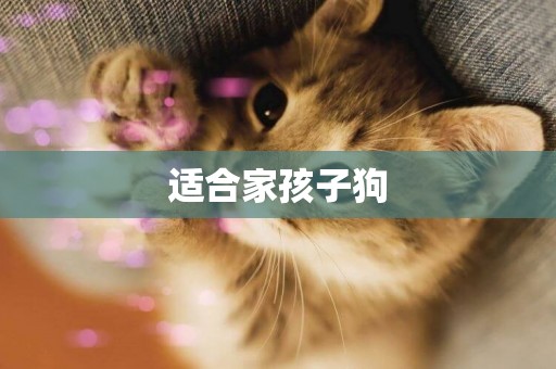 適合家孩子狗